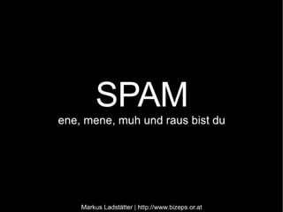 Spam-Abwehr beim Accessibility-Stammtisch am 12. März 2009