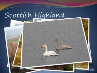 當時間的座標落在格林威治的左邊