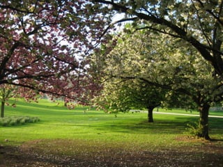 當時間的座標落在格林威治的左邊
