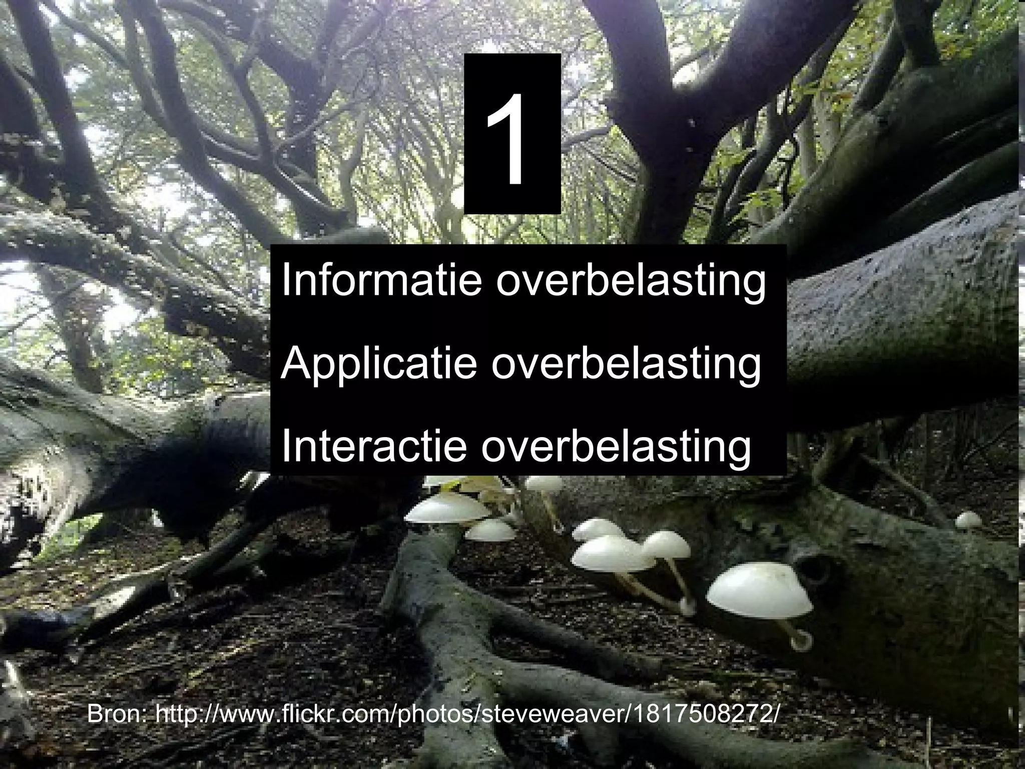 Bron: http://www.flickr.com/photos/steveweaver/1817508272/ Informatie overbelasting Applicatie overbelasting Interactie overbelasting 1 