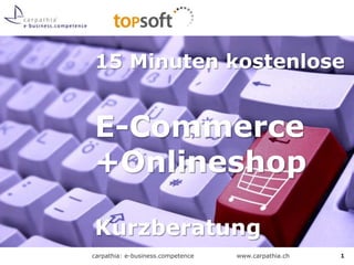15 Minuten kostenlose E-Commerce +Onlineshop Kurzberatung 1 