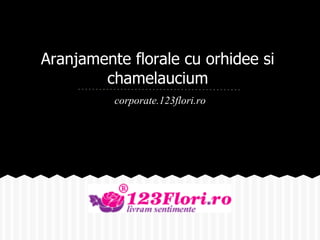 Aranjamente florale cu orhidee si
        chamelaucium
          corporate.123flori.ro
 