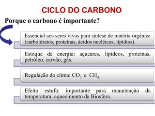 CICLO DO CARBONO
Porque o carbono é importante?
Essencial aos seres vivos para síntese de matéria orgânica
(carboidratos, proteínas, ácidos nucléicos, lipídios).
Estoque de energia: açúcares, lipídeos, proteínas,
petróleo, carvão, gás.
Regulação do clima: CO2 e CH4.
Efeito estufa: importante para manutenção da
temperatura, aquecimento da Biosfera.
 