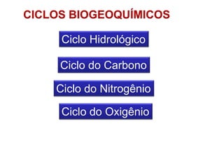 CICLOS BIOGEOQUÍMICOS
Ciclo do Carbono
Ciclo do Oxigênio
Ciclo Hidrológico
Ciclo do Nitrogênio
 