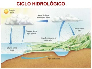 Troca contínua de água entre a atmosfera, solo, águas
superficiais, águas subterrâneas e seres vivos.
Influência direta nas condições climáticas do planeta.
CICLO HIDROLÓGICO
 