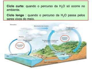 Ciclo curto: quando o percurso da H2O só ocorre no
ambiente.
Ciclo longo : quando o percurso da H2O passa pelos
seres vivos do meio.
 