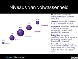 Niveaus van volwassenheid ( Towards  Maturity.org ) 