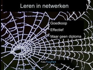 Leren in netwerken Foto: FoxyPar4 Goedkoop Effectief Maar geen diploma 