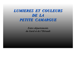 LUMIERES ET COULEURS
        DE LA
  PETITE CAMARGUE

      Entre départements
    du Gard et de l’Hérault
 