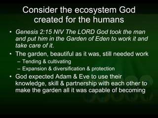 Consider the ecosystem God created for the humans Genesis 2:15 NIV The LORD God took the man and put him in the Garden of Eden to work it and take care of it. The garden, beautiful as it was, still needed work Tending & cultivating Expansion & diversification & protection God expected Adam & Eve to use their knowledge, skill & partnership with each other to make the garden all it was capable of becoming 