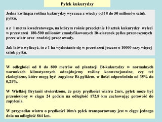 W odległości od 0 do 800 metrów od plantacji Bt-kukurydzy w normalnych warunkach klimatycznych odnajdujemy rośliny konwencjonalne, czy też ekologiczne, które mogą być  zapylone Bt-pyłkiem, w ilości odpowiednio od 35% do 0,21%. W Wielkiej Brytanii stwierdzono, że przy prędkości wiatru 2m/s, pyłek może być przeniesiony w ciągu 24 godzin na odległość 172,8 km zachowując gotowość do zapylenia.  W przypadku wiatru o prędkości 10m/s pyłek transportowany jest w ciągu jednego dnia na odległość 864 km. Pyłek kukurydzy Jedna kwitnąca roślina kukurydzy wyrzuca z wiechy od 18 do 50 milionów sztuk pyłku,  a z  1 metra kwadratowego, na którym rośnie przeciętnie 10 sztuk kukurydzy  wyleci w przestrzeń  180-500 milionów zmodyfikowanych Bt-ziarenek pyłku przenoszonych przez wiatr oraz  rzadziej przez owady.  Jak łatwo wyliczyć, to z 1 ha wydostanie się w przestrzeń jeszcze o 10000 razy więcej sztuk pyłku.   