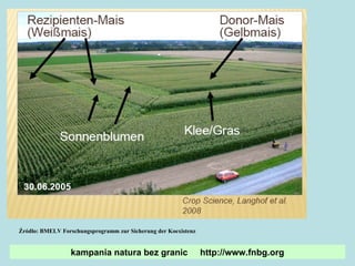 Źródło: BMELV Forschungsprogramm zur Sicherung der Koexistenz kampania natura bez granic  http://www.fnbg.org 