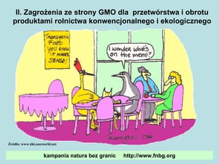 II. Zagrożenia ze strony GMO dla  przetwórstwa i obrotu produktami rolnictwa konwencjonalnego i ekologicznego Źródło: www.tiki.oneworld.net kampania natura bez granic  http://www.fnbg.org 