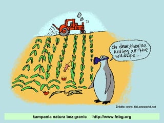 Źródło: www. tiki.oneworld.net kampania natura bez granic  http://www.fnbg.org 