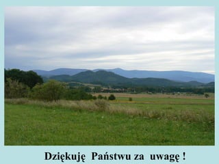 Dziękuję  Państwu za  uwagę ! 