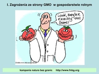 I. Zagrożenia ze strony GMO  w gospodarstwie rolnym Źródło:www.tiki.oneworld.net kampania natura bez granic  http://www.fnbg.org 
