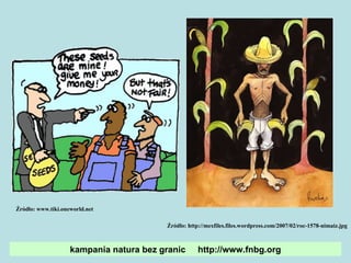 kampania natura bez granic  http://www.fnbg.org Źródło: www.tiki.oneworld.net Źródło: http://mexfiles.files.wordpress.com/2007/02/roc-1578-nimaiz.jpg 