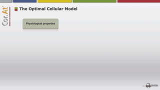 The Optimal Cellular Model


  Physiological properties
 
