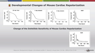Developmental Changes of Mouse Cardiac Repolarization




 Change of the Dofetilide Sensitivity of Mouse Cardiac Repolarization




 Wang et al. Developmental changes in the delayed rectiﬁer K+ channels in mouse heart. Circ Res. 1996 Jul;79(1):79-85.
 