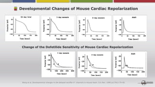 Developmental Changes of Mouse Cardiac Repolarization




 Change of the Dofetilide Sensitivity of Mouse Cardiac Repolarization




 Wang et al. Developmental changes in the delayed rectiﬁer K+ channels in mouse heart. Circ Res. 1996 Jul;79(1):79-85.
 