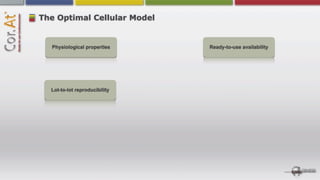 The Optimal Cellular Model


  Physiological properties     Ready-to-use availability




  Lot-to-lot reproducibility
 