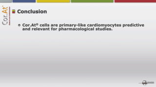 Conclusion

       ®
 Cor.At cells are primary-like cardiomyocytes predictive
 and relevant for pharmacological studies.
 