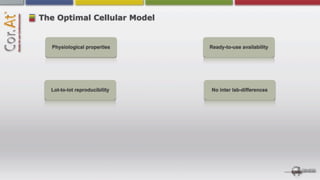 The Optimal Cellular Model


  Physiological properties     Ready-to-use availability




  Lot-to-lot reproducibility   No inter lab-differences
 