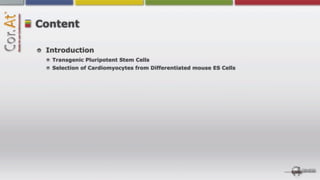 Content

 Introduction
  Transgenic Pluripotent Stem Cells
  Selection of Cardiomyocytes from Differentiated mouse ES Cells
 
