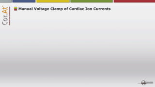 Manual Voltage Clamp of Cardiac Ion Currents
 