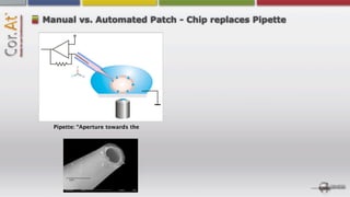 Manual vs. Automated Patch - Chip replaces Pipette




  Pipette: “Aperture towards the




       2 µm
 