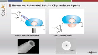 Manual vs. Automated Patch - Chip replaces Pipette




  Pipette: “Aperture towards the   Chip: “Cell towards the




       2 µm
                                                        20 µm
 