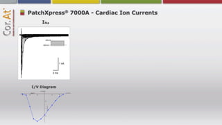 ®
PatchXpress 7000A - Cardiac Ion Currents
     INa




                  1 nA


           2 ms




 I/V Diagram
 