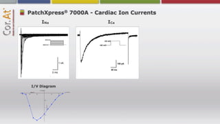 ®
PatchXpress 7000A - Cardiac Ion Currents
     INa                     ICa




                  1 nA                100 pA

                              50 ms
           2 ms




 I/V Diagram
 