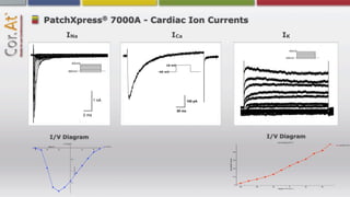 ®
PatchXpress 7000A - Cardiac Ion Currents
     INa                     ICa                   IK




                  1 nA                100 pA

                              50 ms
           2 ms




 I/V Diagram                                   I/V Diagram
 