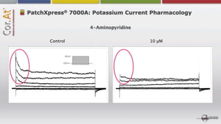 ®
PatchXpress 7000A: Potassium Current Pharmacology

                  4-Aminopyridine

      Control                       10 µM
 