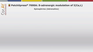 ®
PatchXpress 7000A: ß-adrenergic modulation of I(Ca,L)
                 Epinephrine (Adrenaline)
 