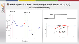 ®
PatchXpress 7000A: ß-adrenergic modulation of I(Ca,L)
                      Epinephrine (Adrenaline)


               Epi, 10 µM
 
