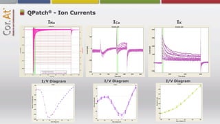 ®
QPatch - Ion Currents
      INa                  ICa            IK




    I/V Diagram         I/V Diagram   I/V Diagram
 