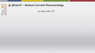 ®
QPatch - Sodium Current Pharmacology

                  INa block with TTX
 