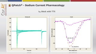 ®
QPatch - Sodium Current Pharmacology

                  INa block with TTX




                                       B) 50 nM




                                             A) baseline
 