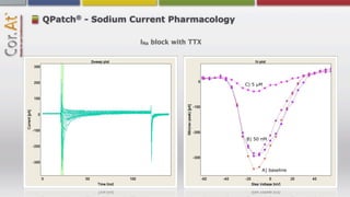 ®
QPatch - Sodium Current Pharmacology

                  INa block with TTX




                                       C) 5 µM




                                       B) 50 nM




                                             A) baseline
 