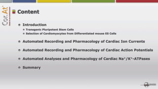 Content

 Introduction
  Transgenic Pluripotent Stem Cells
  Selection of Cardiomyocytes from Differentiated mouse ES Cells


 Automated Recording and Pharmacology of Cardiac Ion Currents

 Automated Recording and Pharmacology of Cardiac Action Potentials

 Automated Analyses and Pharmacology of Cardiac Na+/K+-ATPases

 Summary
 