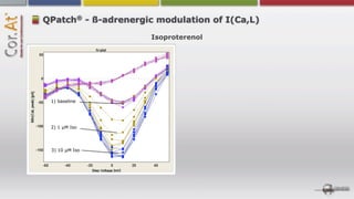 ®
QPatch - ß-adrenergic modulation of I(Ca,L)
                     Isoproterenol




 1) baseline




 2) 1 µM Iso




 3) 10 µM Iso
 