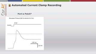 Automated Current Clamp Recording


                     Port-a-Patch®

   Stimulation Protocol (500 ms stimuli at 0.2 Hz)


            -40 pA

I(memb)




                                              150 ms

                                                       20 mV
 