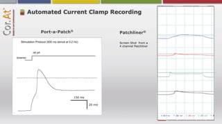 Automated Current Clamp Recording


                     Port-a-Patch®                             Patchliner      ®


   Stimulation Protocol (500 ms stimuli at 0.2 Hz)             Screen Shot from a
                                                               4 channel Patchliner

            -40 pA

I(memb)




                                              150 ms

                                                       20 mV
 