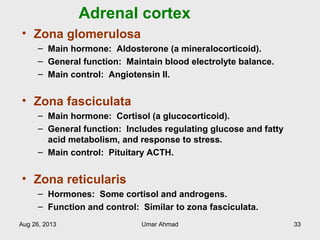 Adrenal cortex
• Zona glomerulosa
– Main hormone: Aldosterone (a mineralocorticoid).
– General function: Maintain blood electrolyte balance.
– Main control: Angiotensin II.
• Zona fasciculata
– Main hormone: Cortisol (a glucocorticoid).
– General function: Includes regulating glucose and fatty
acid metabolism, and response to stress.
– Main control: Pituitary ACTH.
• Zona reticularis
– Hormones: Some cortisol and androgens.
– Function and control: Similar to zona fasciculata.
Aug 26, 2013 Umar Ahmad 33
 