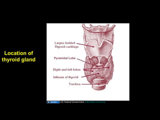 Location of
thyroid gland
US Federal Government, wikimedia commons
Aug 26, 2013 Umar Ahmad 48
 
