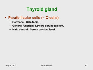 Thyroid gland
• Parafollicular cells (= C-cells)
– Hormone: Calcitonin.
– General function: Lowers serum calcium.
– Main control: Serum calcium level.
Aug 26, 2013 Umar Ahmad 61
 