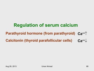 Regulation of serum calcium
Parathyroid hormone (from parathyroid) Ca++
↑
Calcitonin (thyroid parafollicular cells) Ca++
↓
Aug 26, 2013 Umar Ahmad 66
 