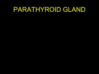 PARATHYROID GLAND
Aug 26, 2013 Umar Ahmad 67
 